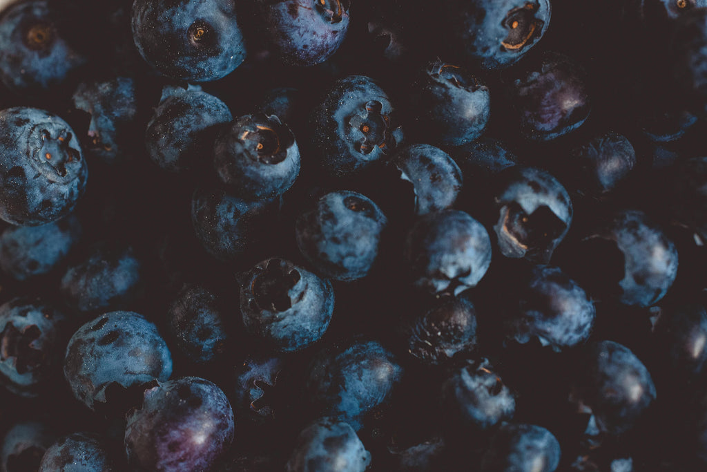 Why Bilberry Extract Could Be the Path to Youthful Skin?